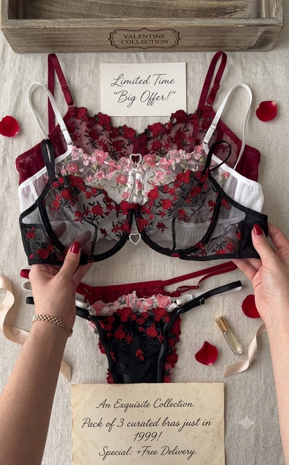 Romantic Floral Embroidered Lingerie Set of 3